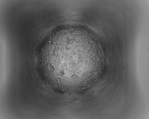 X0000112161397200908211425