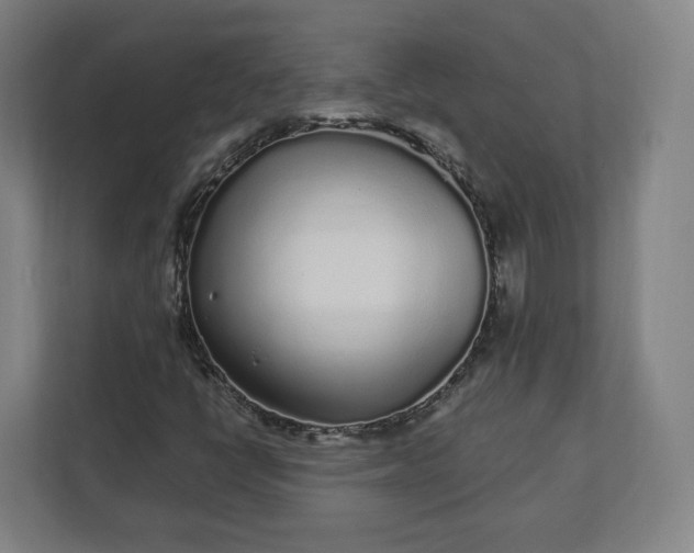 X0000112161398200908211425