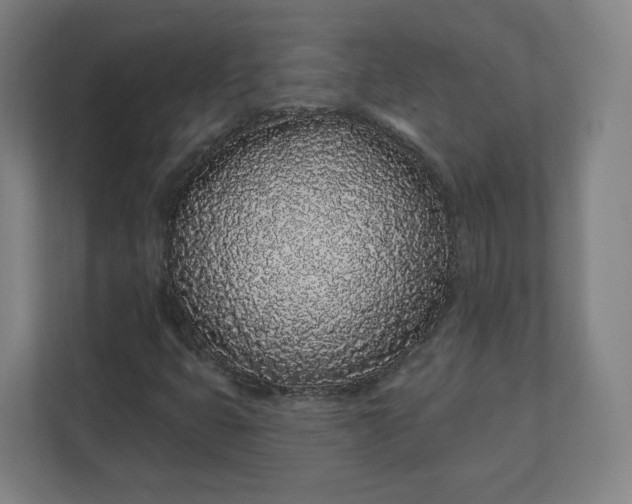 X0000112161399200908211425