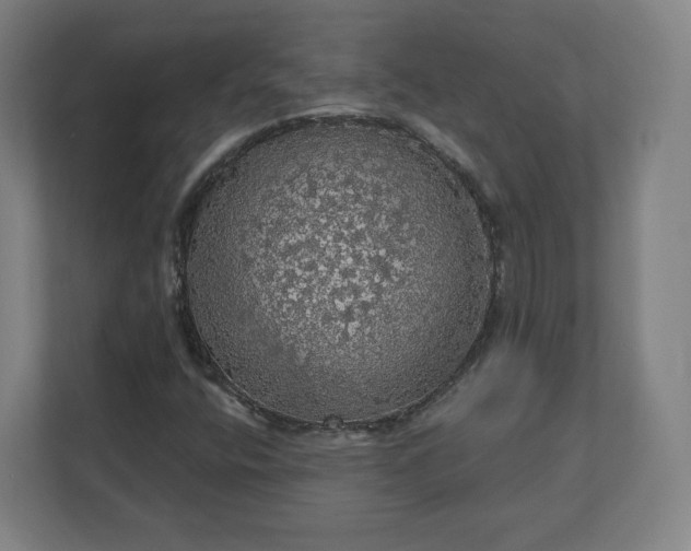 X0000112161400200908211425