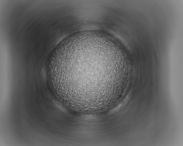 X0000112161401200908211425