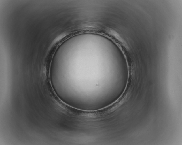 X0000112161402200908211425