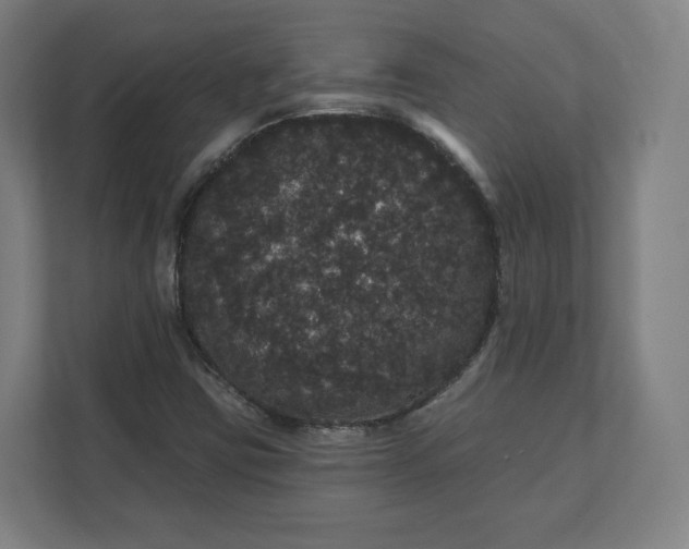 X0000112161403200908211425
