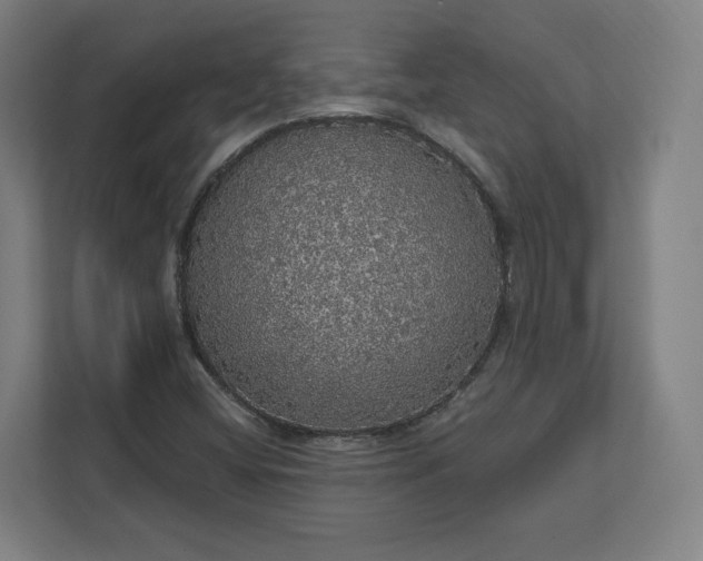 X0000112161404200908211425