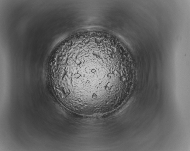 X0000112161405200908211425