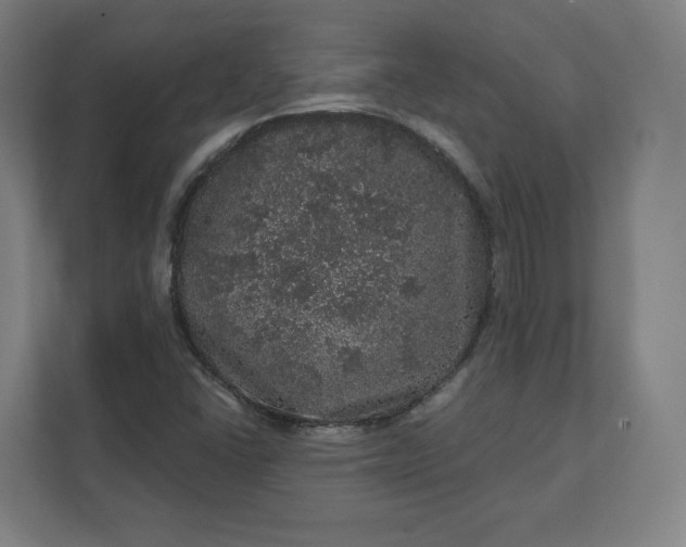 X0000112161406200908211425