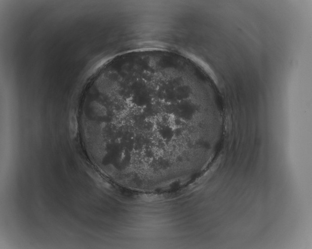 X0000112161407200908211425