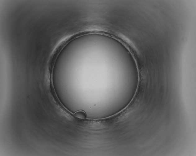 X0000112161408200908211425
