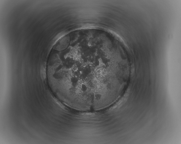 X0000112161409200908211425