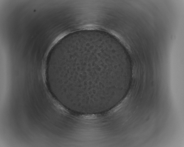 X0000112161410200908211425