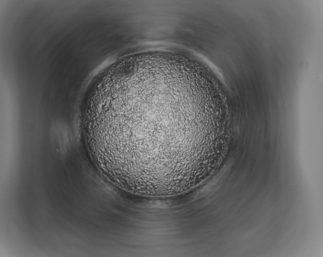 X0000112161411200908211425