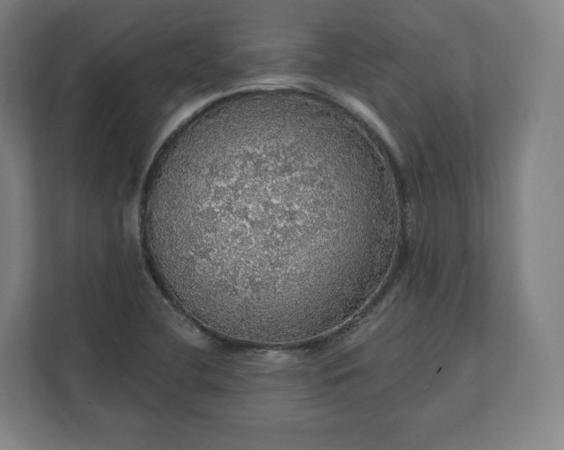 X0000112161412200908211425