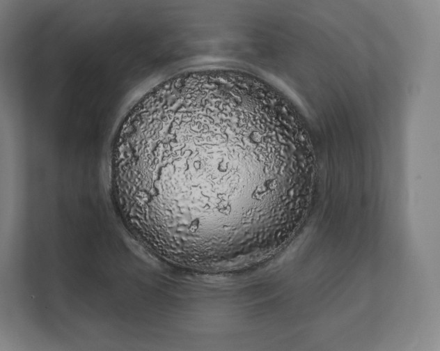 X0000112161413200908211425