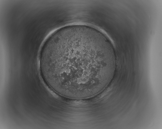 X0000112161416200908211425