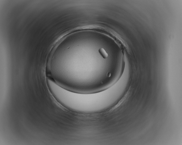 X0000112161417200908211425