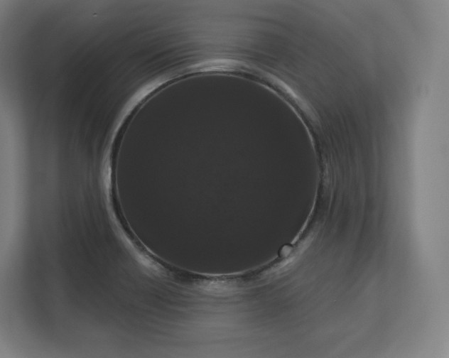 X0000112161418200908211425
