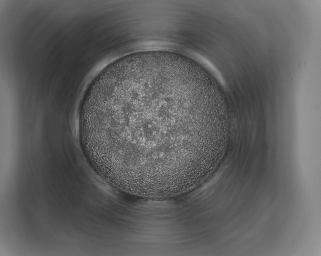 X0000112161419200908211425
