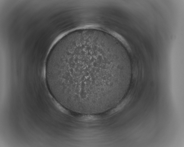 X0000112161420200908211425