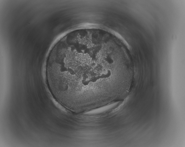 X0000112161421200908211425
