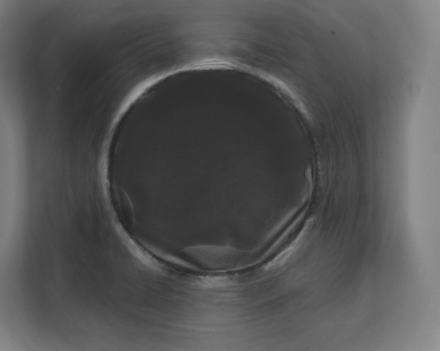 X0000112161422200908211425
