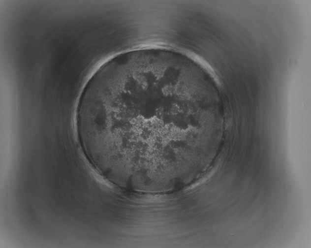 X0000112161423200908211425