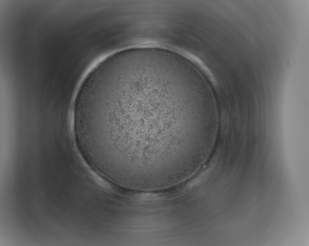 X0000112161424200908211425