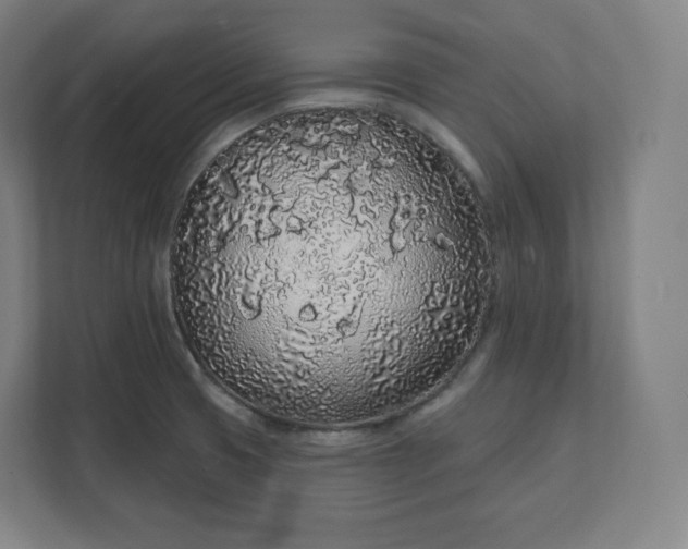 X0000112161425200908211425