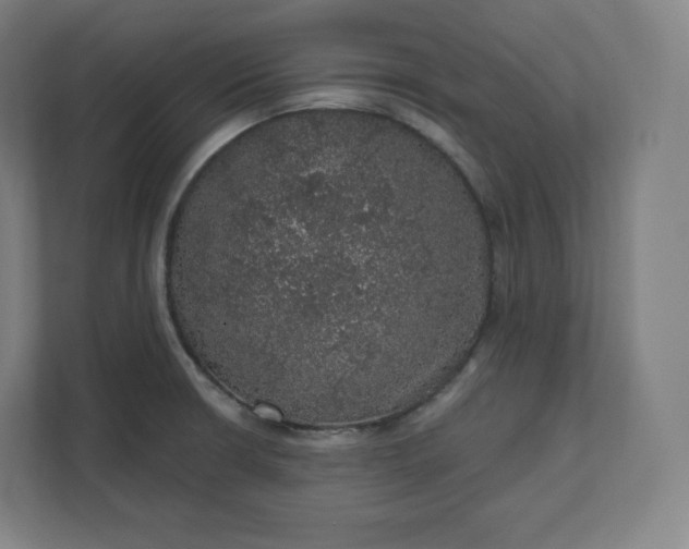 X0000112161426200908211425