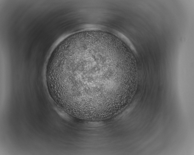 X0000112161427200908211425