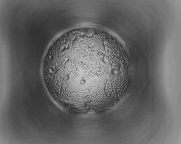X0000112161429200908211425