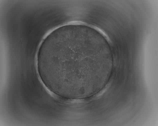 X0000112161430200908211425