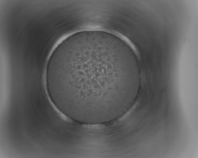 X0000112161432200908211425
