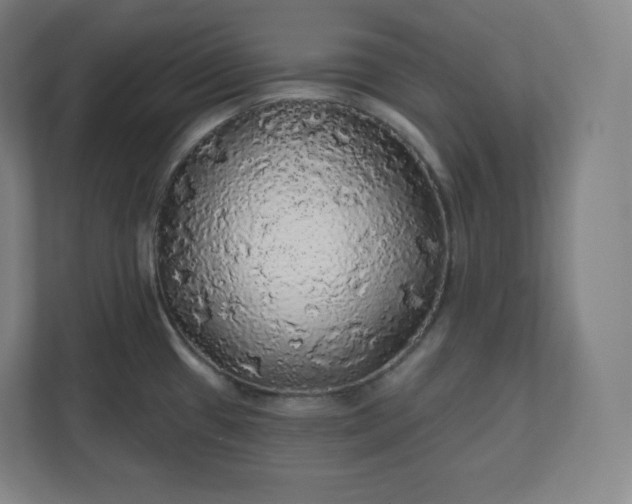 X0000112161433200908211425