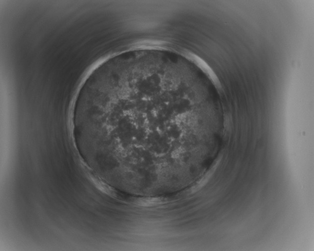 X0000112161435200908211425