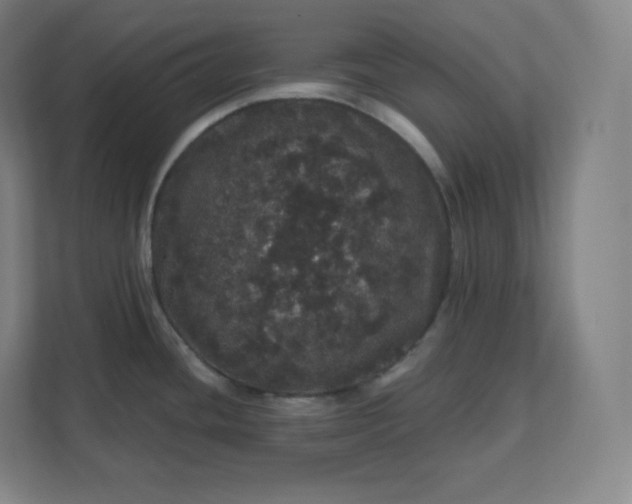 X0000112161436200908211425