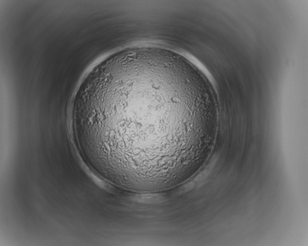 X0000112161437200908211425