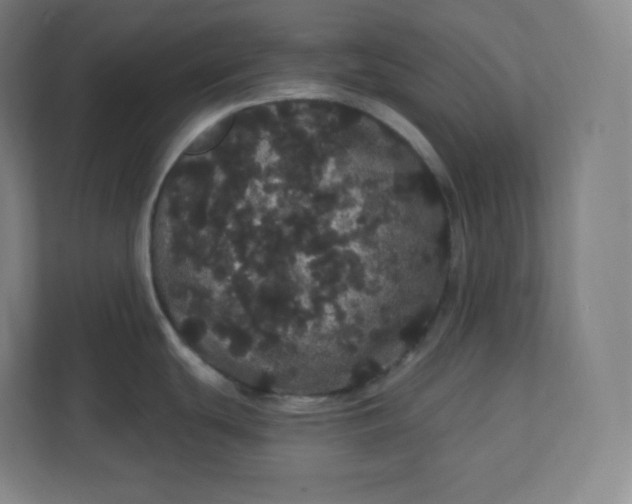 X0000112161439200908211425
