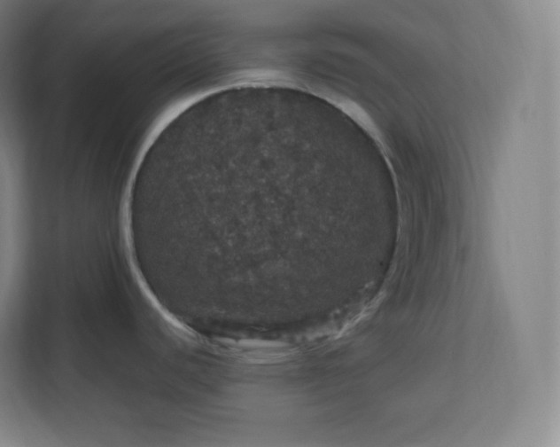 X0000112161440200908211425