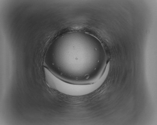 X0000112161441200908211425
