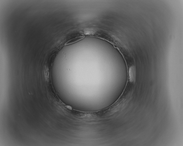X0000112161443200908211425