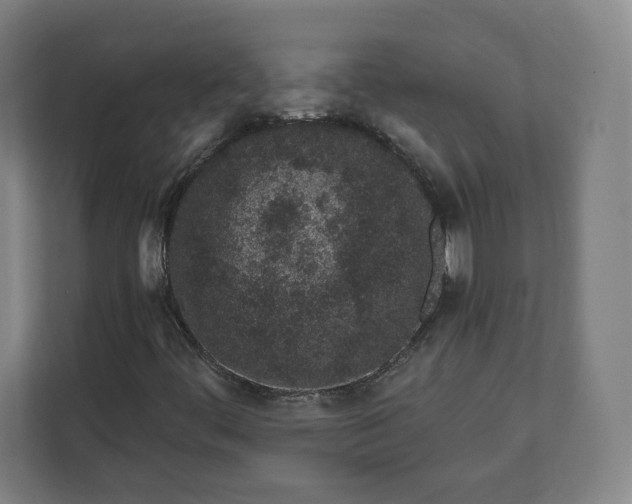 X0000112161444200908211425