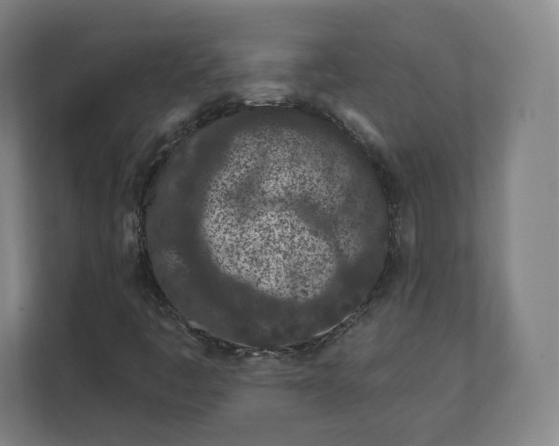 X0000112161445200908211425