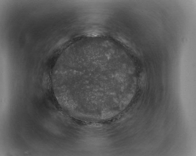 X0000112161446200908211425