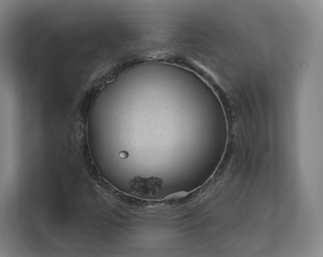 X0000112161447200908211425