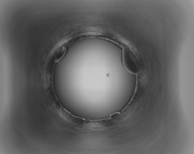 X0000112161448200908211425
