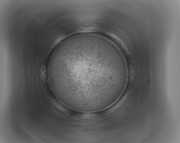 X0000112161449200908211425