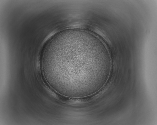 X0000112161450200908211424