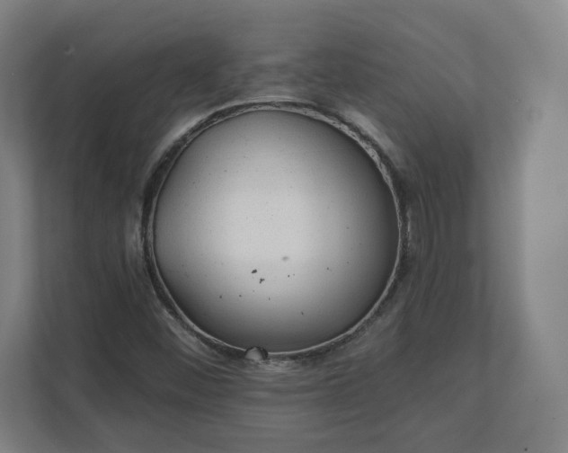 X0000112161452200908211424