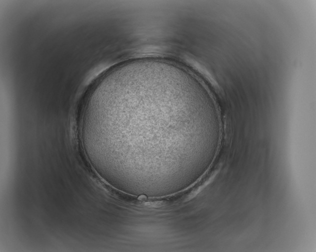X0000112161453200908211424