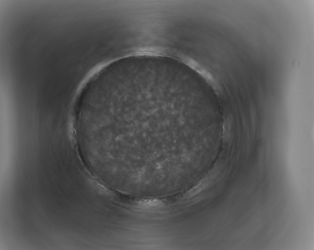 X0000112161454200908211424